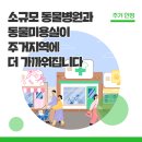 고려동물병원 미용실 이미지