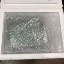 컴페니언 펫 이미지