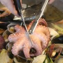 택이네조개전골 이미지