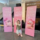 하츄핑과 함께한 마법 같은 주말, 수원 사랑의 하츄핑 뮤지컬 관람 후기