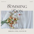 나비드 | 종로 예물투어 | 나비드주얼리, 프리모바이유 방문 후기(계약O, 견적O)