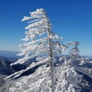 마당민박 이미지