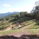 주아목장 이미지