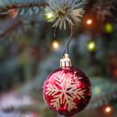 ELITE FIT 24 이미지