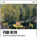장미 | 김해 목향장미 실시간 개화 후기 | 카페 휘게는 지금 만개중