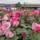 태릉입구역 8번출구 이미지