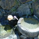 약수암샘터 이미지