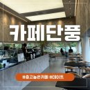 [판교 카페] 여유로운 자연과 함께한 ‘단풍’ 카페 솔직후기