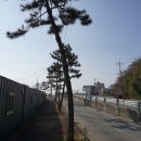 율포물양장 이미지