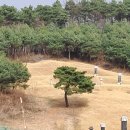 청주경씨 시조묘역 이미지