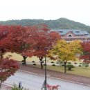 문막종합축산
