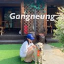 복돌네 | 강릉 촌캉스 주문진 복돌네 민박 호박이방 후기