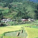 하천리-2 이미지