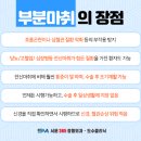 세종 정형외과 앞 네이버블로그
