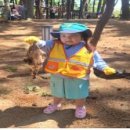 장항중앙초등학교병설유치원 이미지