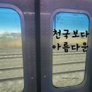 아름다운 인생이야기 | [🪿 JTBC 드라마] 인생은 베팅보다 런웨이 《천국보다 아름다운》 드라마 후기