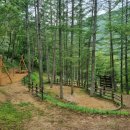 계명산자연휴양림 야외물놀이장 | 안동 계명산 자연휴양림