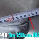 제주해물탕 이미지