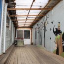 벌과 사람 이미지