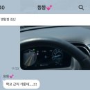 뚜또띠 강릉편