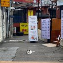 충숙근린공원 | [갭이어 4일차] 과학북토크: 식물에 관한 오해 강연을 듣다.(찜이로닭-서울시립과학관-데코아발림카페...