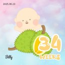나드리세탁 | 34-35주 태동검사, 심전도검사, 역아탈출, 아기손수건빨래 방법, 고기+수박 먹기