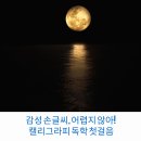 감성 손글씨, 어렵지 않아! 캘리그라피 독학 첫걸음