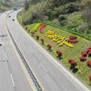 완도13호 이미지