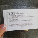 자연경옥 네이버블로그