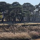 황남경로당 | 경주카페 디저트시네마 경주점 밤퀸아망 맛집 경주황리단길카페