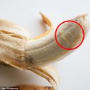 바나나 PC 이미지