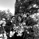 봄의 제전 이미지