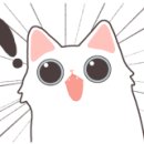 해돋이 회센타 이미지