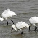 소망환경 이미지