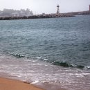 사천해변 이미지