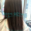 프리미어 살롱 준오헤어 명동예술극장점 유연쌤 허쉬컷 후기