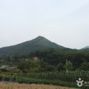 양평 백운봉 자연휴양림 이미지