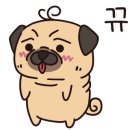 캣카페 집사의하루 분당점 이미지