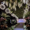 숲속의 컨벤션 이미지