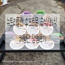 그릇없이 편하게 급여가능한, 동원 뉴트리플랜 소프트뮨 습식&amp;화식 체험단 당첨후기♡