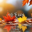 야영장(2) 이미지