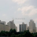 신세계1공인중개사사무소 이미지