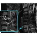 채움마취통증의학과의원 이미지