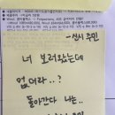 신시주