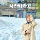 천지소프트 | 시라카와고 다카야마 버스 투어 한국인 가이드 나고야 근교 여행 후기