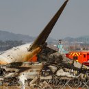 한국이 737-800 제트기 검사 요청 후 보잉 주가 하락 한국, 보잉기 치명적 추락사고 이후 국내 항공 운항에 대한 조사 시작 이미지