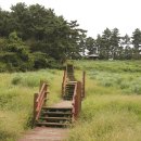 구항면 대정마을회관 | 제주 올레길 16코스 고내 - 광령 올레 완주 후기와 상세 코스 안내