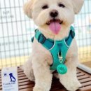 제이에이치바이오팜 이미지