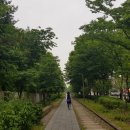 경춘선숲길 이미지