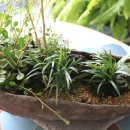 내 집의 분경 이미지